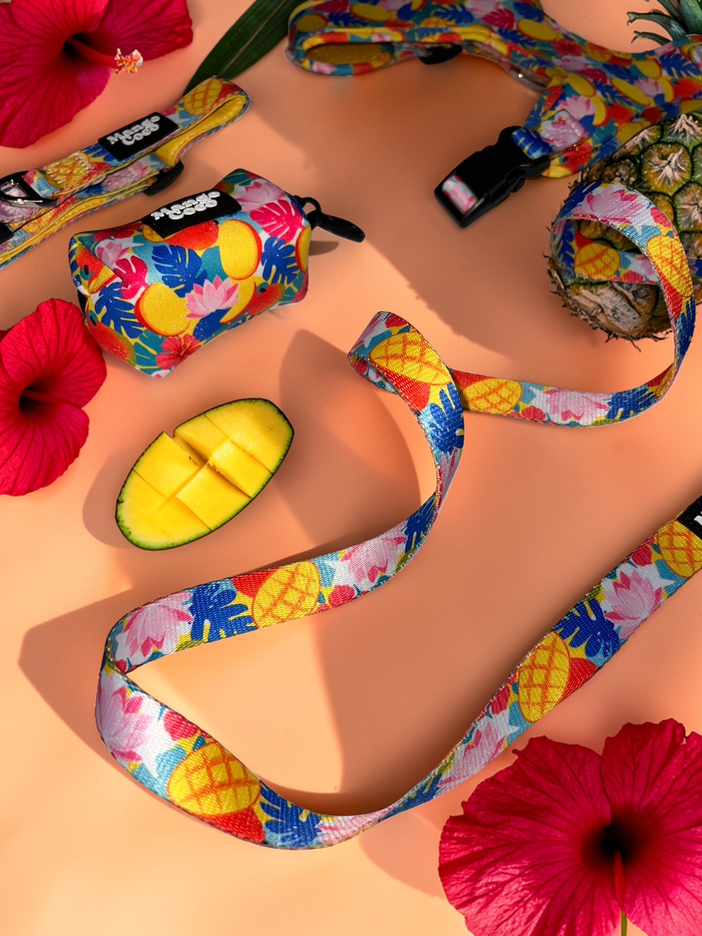 🥭 Collection Set