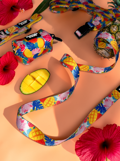 🥭 Collection Set
