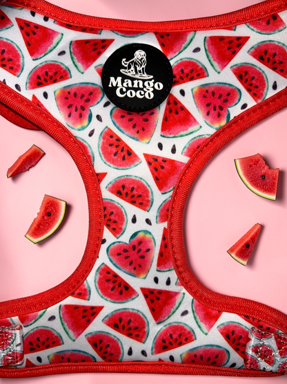 🍉 Adjustable Dog Harness