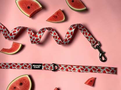 🍉 Collection Set