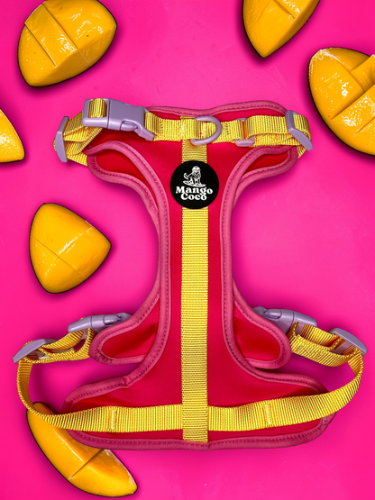 🩷 No-Pull Dog Harness