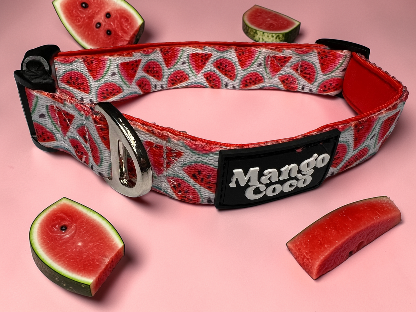 🍉 Dog Collar