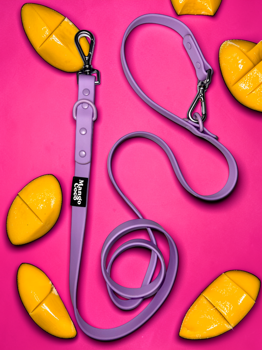💜 Waterproof leash
